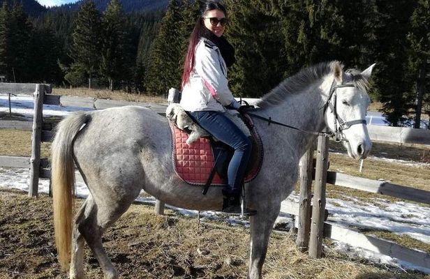 Private Horse Riding in Rhodope Mountains from Plovdiv