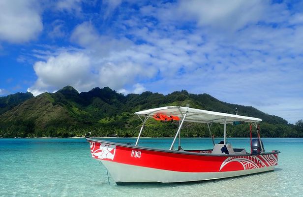 Boat tour 1/2 day Excursion in the lagoon of Moorea