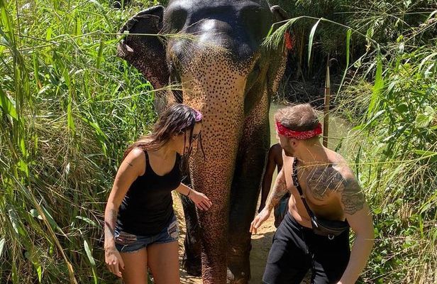 5 Days Tour in Sri Lanka (Hotels with Breakfast & Luxury Car)