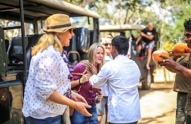 Yala Camping by Ajith Safari All Inclusive