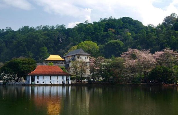 3 Days Tour to Kandy Nuwara Eliya & Sigiriya from Colombo
