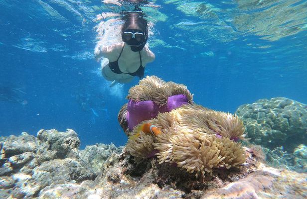 Nusa Penida Island Tour Package With Snorkeling