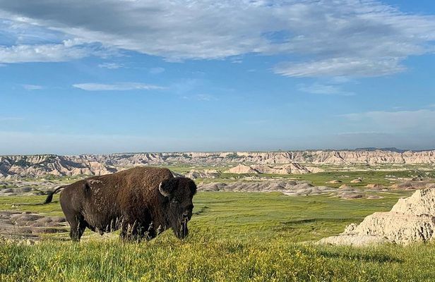 Premier Private Badlands Day Tour
