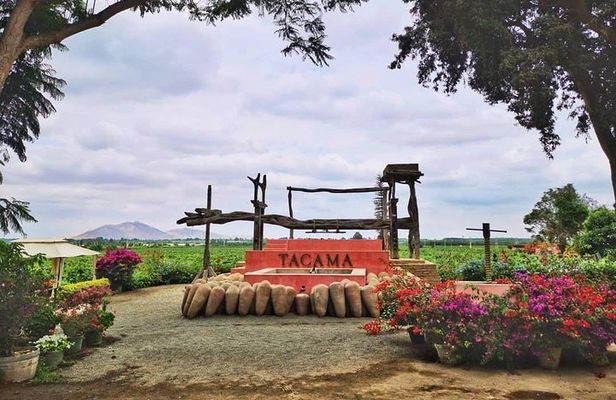 Winery and Pisco Distillery tour