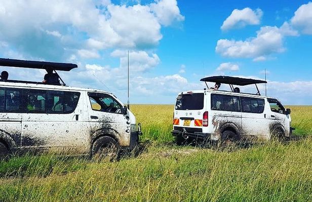 Maasai Mara Safari!!