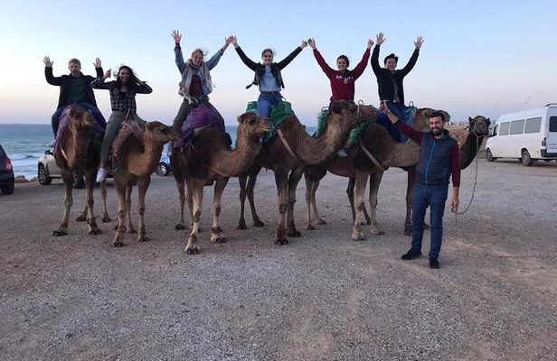 Tangier private tour & Camel ride (sightseeing & Walking Tour)