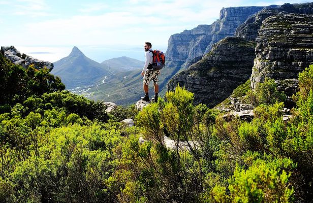 Tranquility Cracks Private Hike on Table Mountain's 12 Apostles