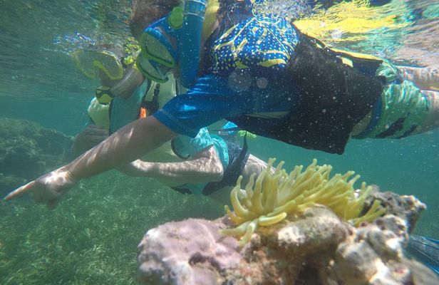 Snorkeling and Kayak Eco-Experience