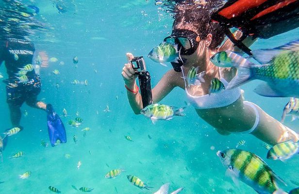 All-in Phi Phi, Maiton, MayaBay, Khai, Bamboo islands Tour