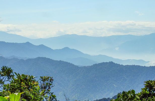 PRIVATE Mindo Cloud Forest tour