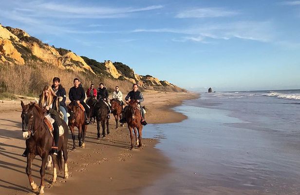 Horseback riding tour of Doñana and visit of El Rocio
