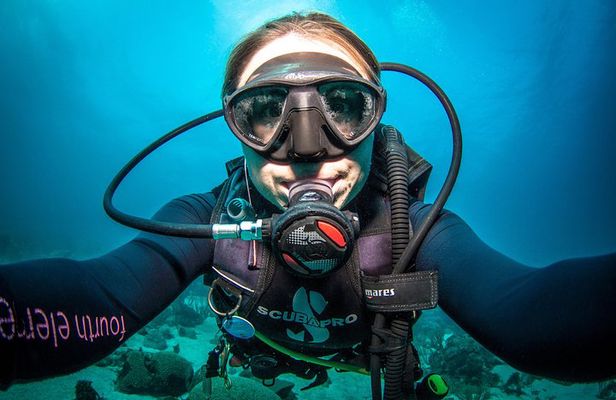 Guided Shore Dive for Certified Divers with Scubaçao (2 tank)