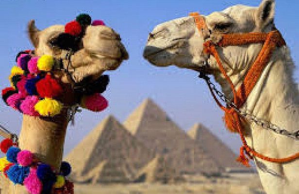 King Tut Egypt : 6 Days Cairo and Luxor Guided Tours & Overnight Train