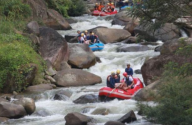 Rafting 5 km, ATV 30 Mins, Fly Fox and Jungle Tour From Phuket