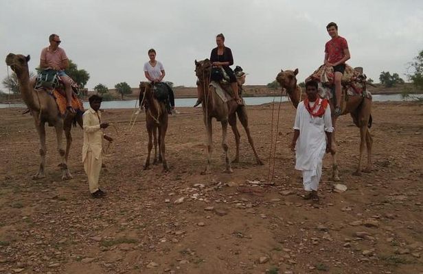Over Night Camel Safari 