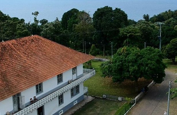 Cacao Road Excursion: plantations, processes, tasting and culture