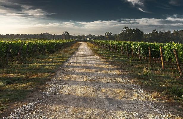Private Custom-Made Niagara Falls Wine, Beer, and Spirits Tour
