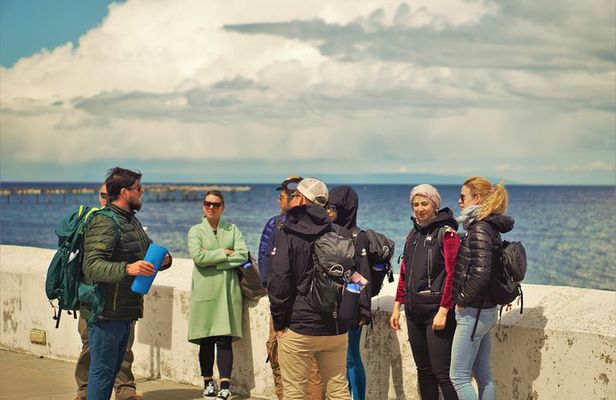 Punta Arenas Antarctic History Private City Tour
