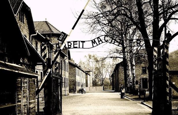 Auschwitz-Birkenau guided tour from Krakow with Ticket & Transfer