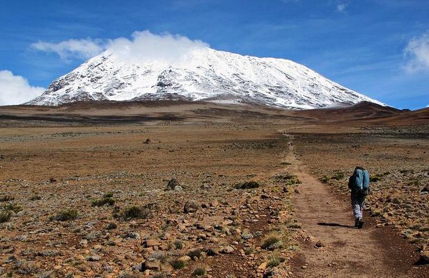 5 Days Marangu Route Kilimanjaro Trekking