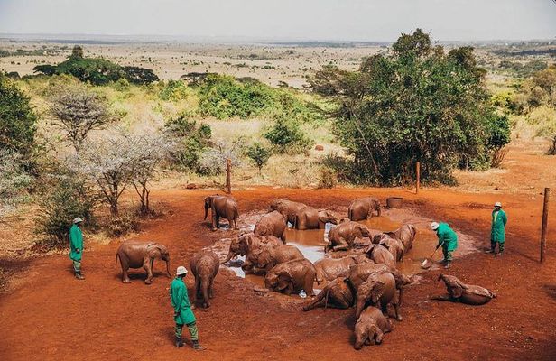 Nairobi National Park,Elephant Orphanage, Giraffe Center and Karen Blixen Museum