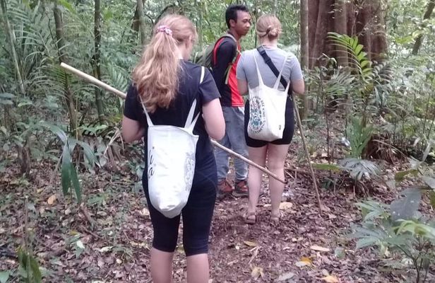 Combine of Tamblingan Waterfall and Twin Lake Tour
