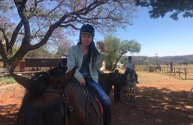 Horse riding safari from Johannesburg