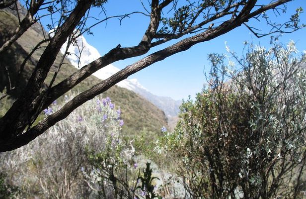 69 LAKE - HUASCARAN NATIONAL PARK / CORDILLERA BLANCA camping