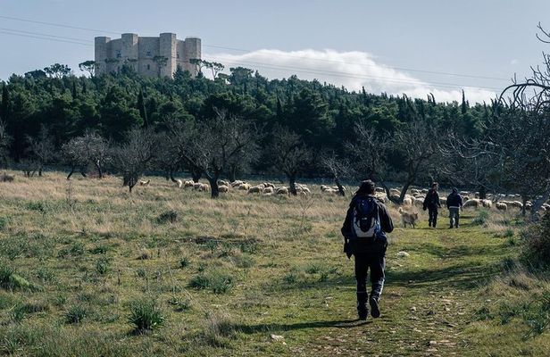 Castel del Monte: excursion in the Alta Murgia National Park