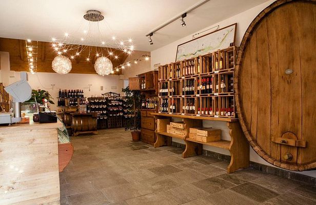 Valtellina: Winery tour and Tasting Experience