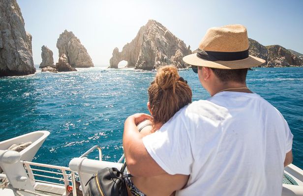Whale Watching Experience