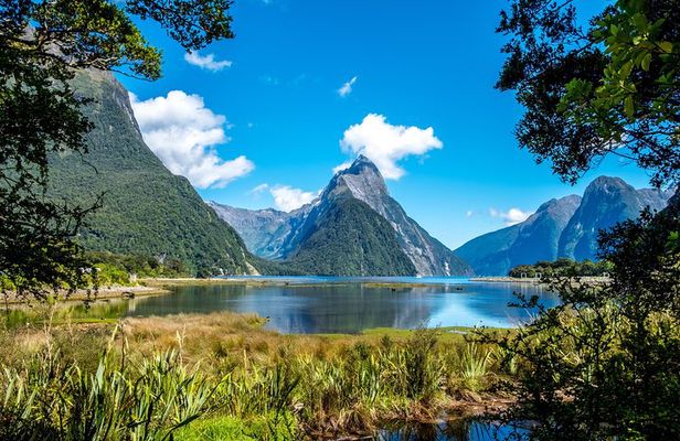 Milford Sound Private Tour With Lunch and Boat cruise