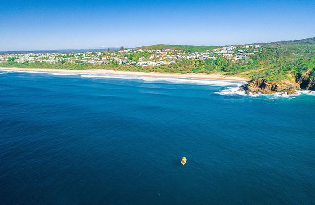 Noosa ocean tour & Dolphin safari. Family specials