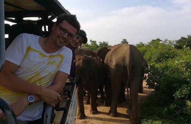 Udawalawe National Park Private 4 Hours Safari Tour