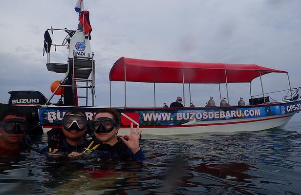 One-Day Diving Mini Course - Discover Scuba Diving