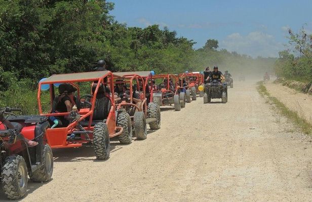 Amber Cove Super Buggys 