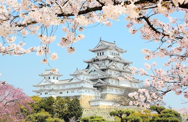 Himeji Full-Day Private Tour with Government-Licensed Guide