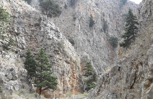 Hike Imbros Gorge and Beach Private Tour (price per group of 6)