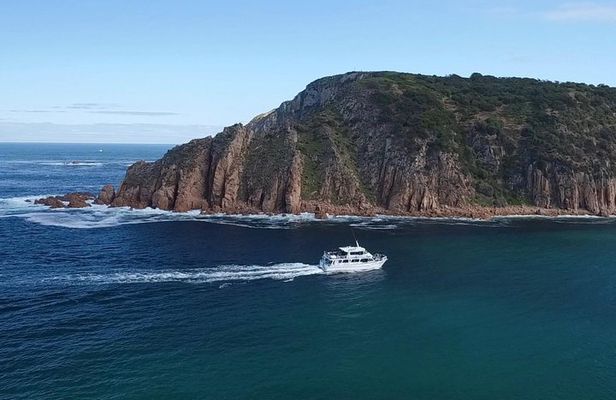 Cape Woolamai Sightseeing Cruise from San Remo
