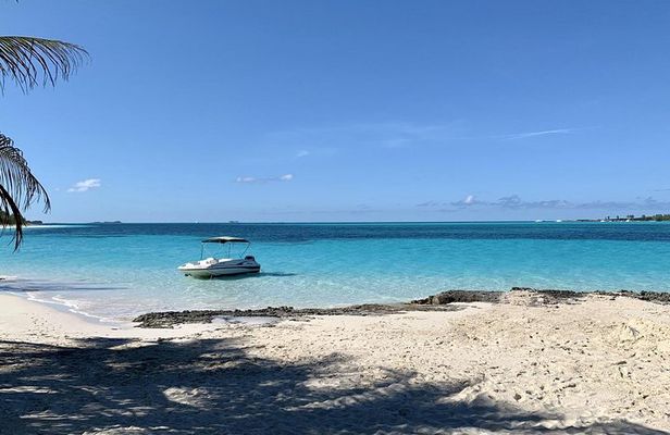 Private Rose Island ,Swimming Pigs, Snorkeling and Turtles