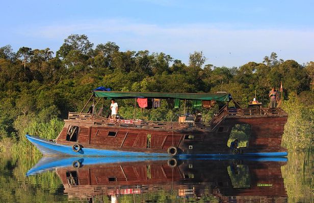 4-Day Private Orangutan and Bornean Primates Tour from Pangkalanbuun