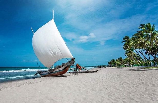Negombo City And Fishing Village Private Day Tour From Colombo
