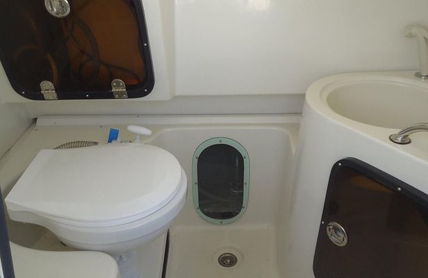 Sports Boat- Private Whale Watching Trip( free breakfast & paid pick-up)
