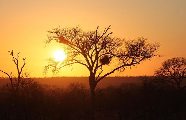 3 Day Kruger National Park tour