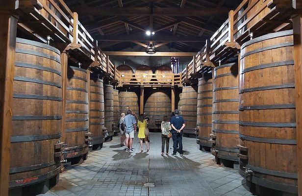 Etna Wineries Tour - Small Groups from Taormina 