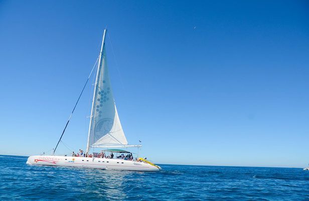 Punta Cana : Saona Island Day Tour
