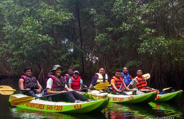 Kayak Adventure in the Second Largest Swamp of Trinidad and Tobago