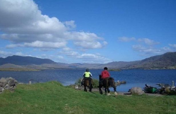 Killarney National Park Horseback Ride. Co Kerry. Guided. 2 hours.