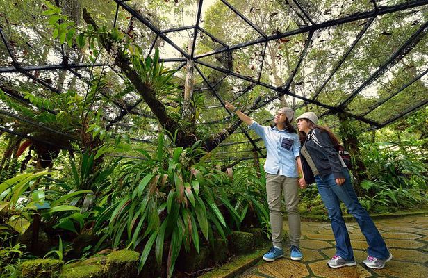 Full-Day Kinabalu Park and Poring Hot Spring Day Trip