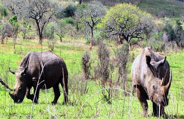 2 Days Safari Tour